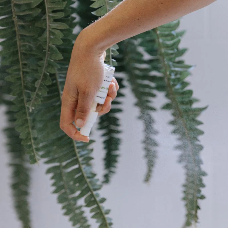 Witch Hazel Natural Healing Spray - Image 3