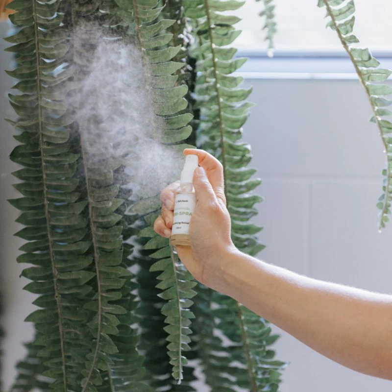 Witch Hazel Natural Healing Spray - Image 4